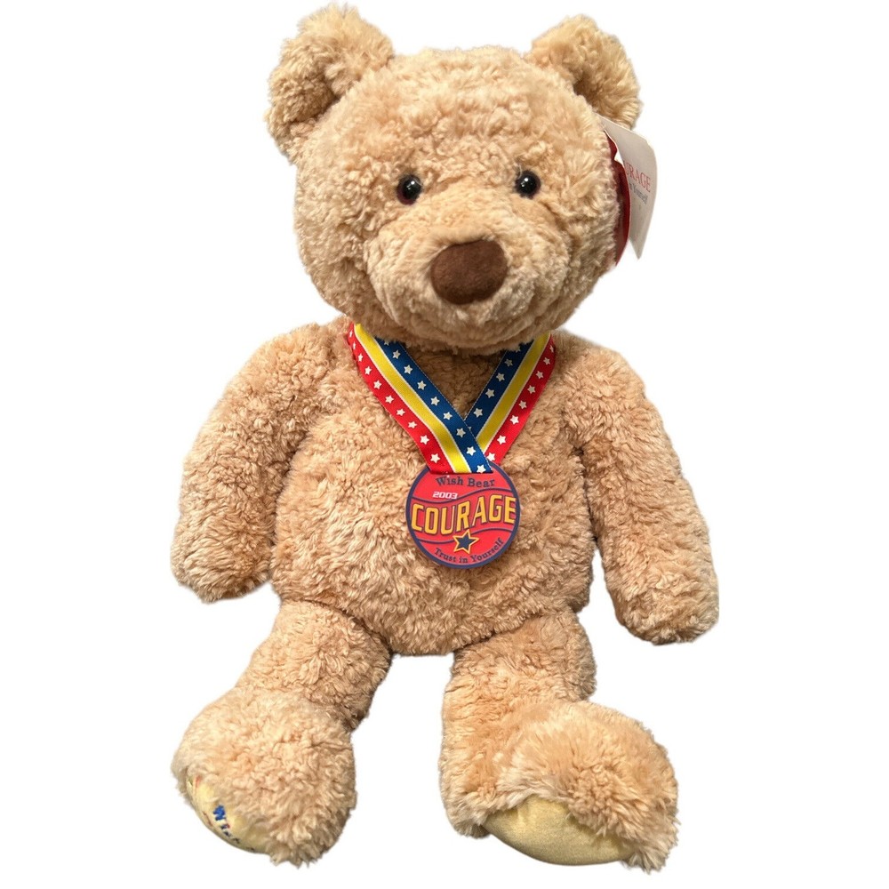 Gund Wish Bear‎ NWT 2003 Courage Trust in Yourself Plush 18-24inch